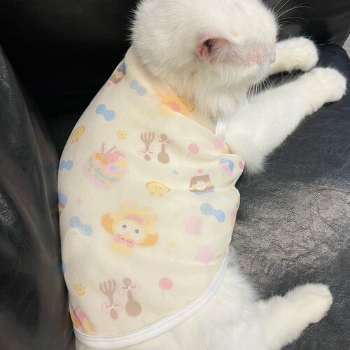 厨师饼饼猫咪衣服无袖吊带背心式