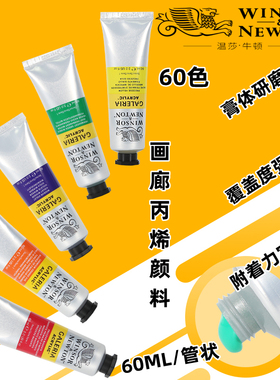 温莎牛顿画廊丙烯颜料60ml管状60色全色系手绘墙绘专用画DIY纺织画手绘涂鸦颜料艺术家画家专用丙烯画颜料