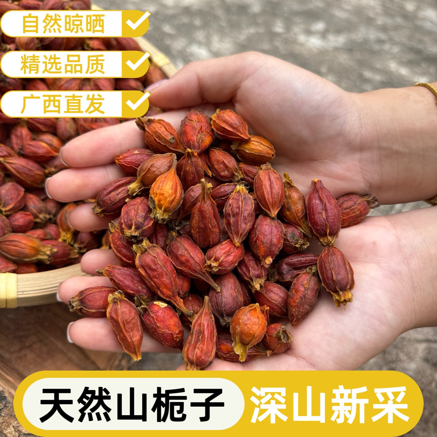 正宗广西天然野生食用黄栀子果干卤料上色香料山栀子中药材批500g