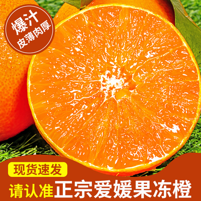 四川蒲江爱媛果冻橙香甜多汁8斤