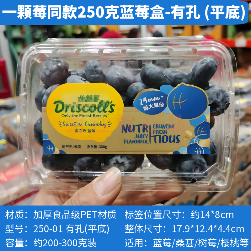 钻石蓝莓同款盒子250g装透明塑料一次性水果盒树莓桑葚蓝莓打包盒