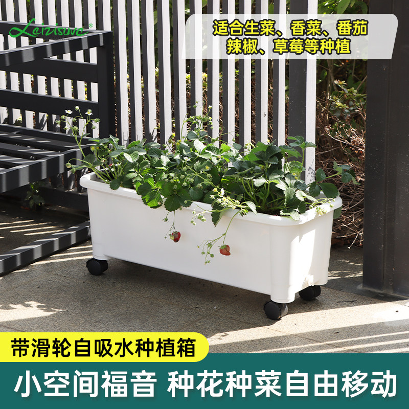 种菜盆大口径蓝莓花盆上海青种植箱底部带滑轮庭院防烂根种菜神器,鲜花速递/花卉仿真/绿植园艺,花盆,淘宝优惠券,粉丝福利购,淘宝优惠卷