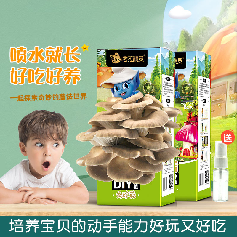 非常容易观赏食用都可蘑菇菌