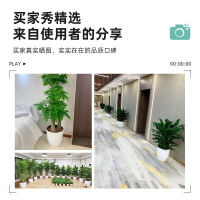 Automatic water-absorbing large green ivy flowerpot, Nordic floor-standing living room round large flowerpot, lazy person's home, white plastic pot thumbnail 8