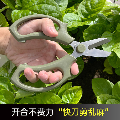 园艺花艺剪修花修枝采摘专用工具