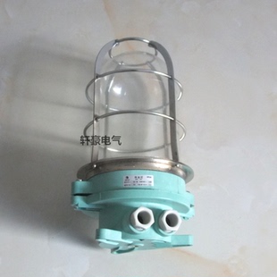 船用灯具 货舱灯 792055作业灯 DS7-2M-A船用作业灯 60W 220V