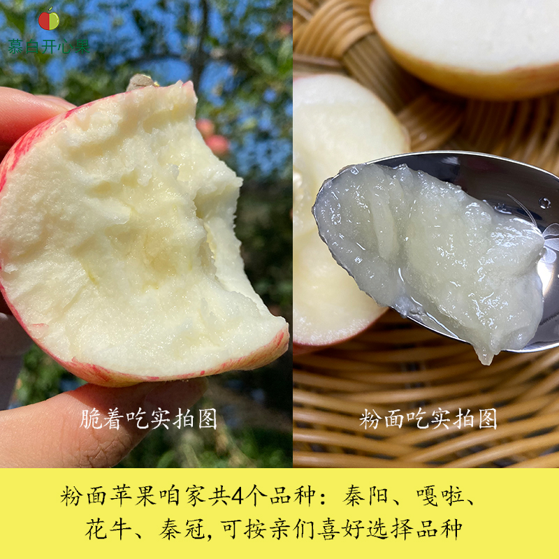 2025新鲜易粉苹果：纯甜无酸！