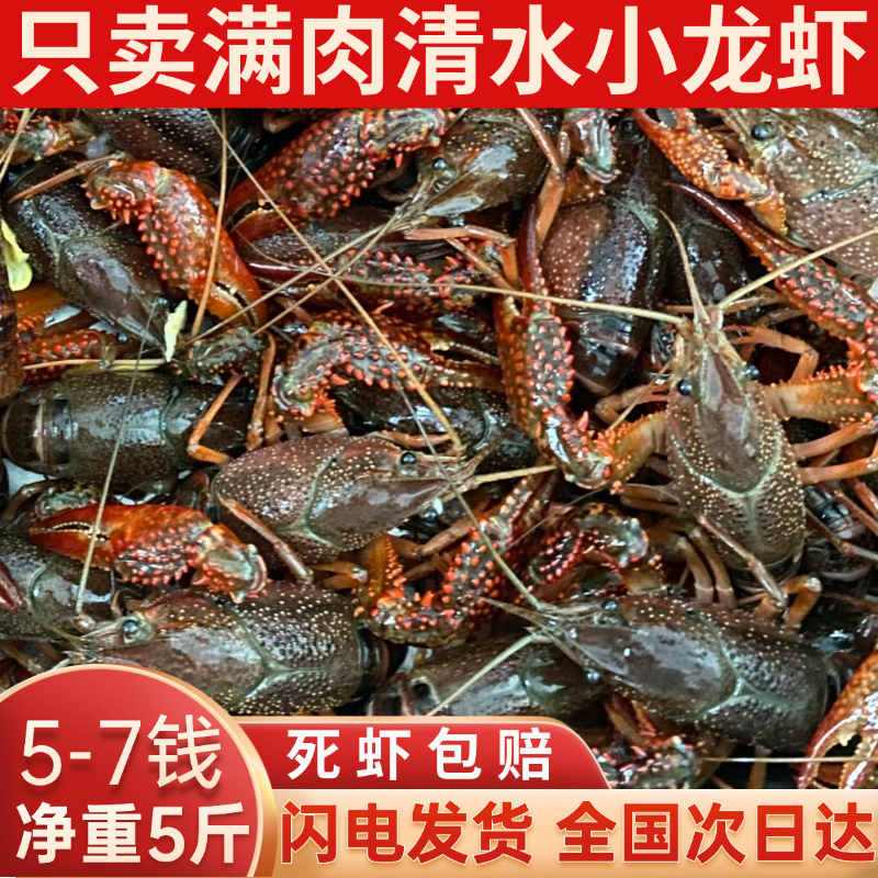 江苏盱眙小龙虾鲜活水产5斤567钱清水活虾稻田淡水小龙虾顺丰发货