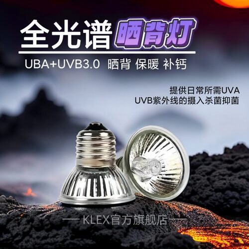 uva宠物爬宠乌龟鸟鸡晒背