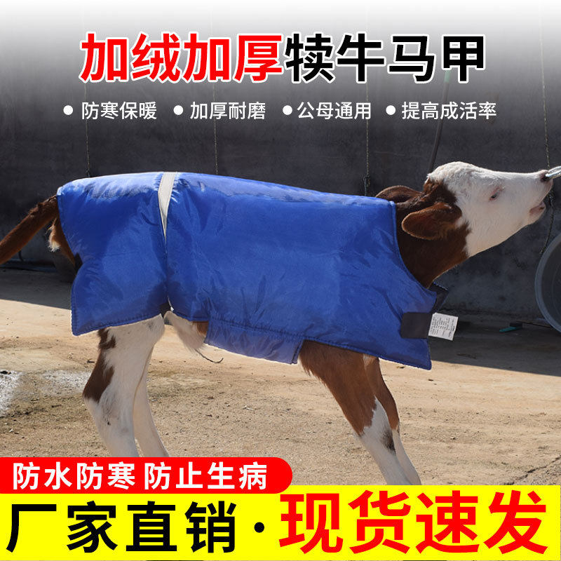牛犊马甲小牛加厚防寒马甲牛犊子保暖防水棉衣养牛场犊牛保温衣服