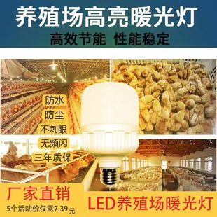 LED暖光灯泡超亮E27螺口节能家用养鸡鸡舍灯养殖灯养殖场照明专用