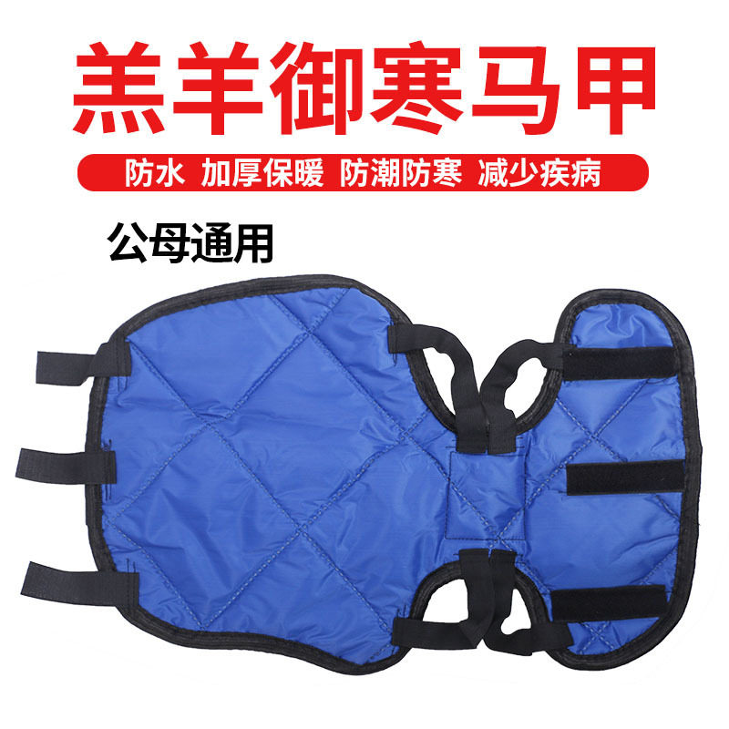 小羊羔衣服初生羔羊马甲小羊衣服防水防寒棉质保暖护肚降低生病率