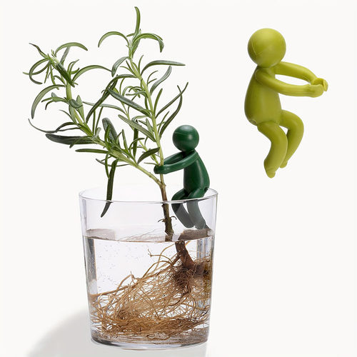 小人植物支撑水培植物支架固定杯
