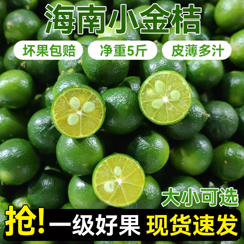 正宗海南小金桔奶茶店专用薄皮小青柠檬酸青金桔当季水果整箱批发