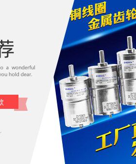 ZHENG正科马达/永磁直流齿轮减速电机/ZYTD520/ZGA37RG/DC24V/12V
