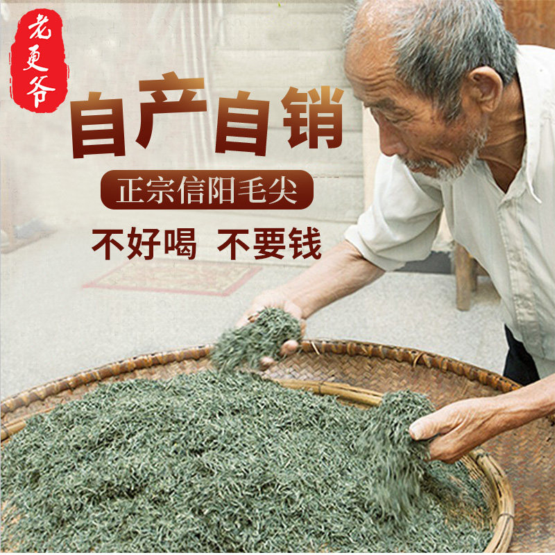 信阳毛尖特级浓香型250g绿茶