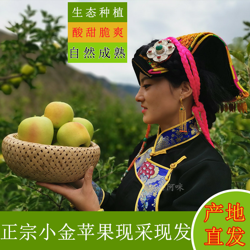 正宗阿坝州小金苹果 小金县原生态青苹果 酸甜脆现摘现发孕妇可吃