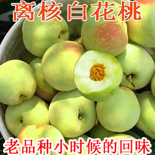 老品种白花桃六月桃新鲜水果桃子