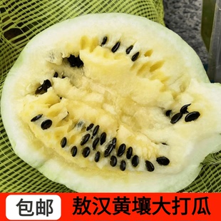 赤峰市敖汉黄壤打瓜新鲜现摘 原产地种植发货一个7-9斤包邮