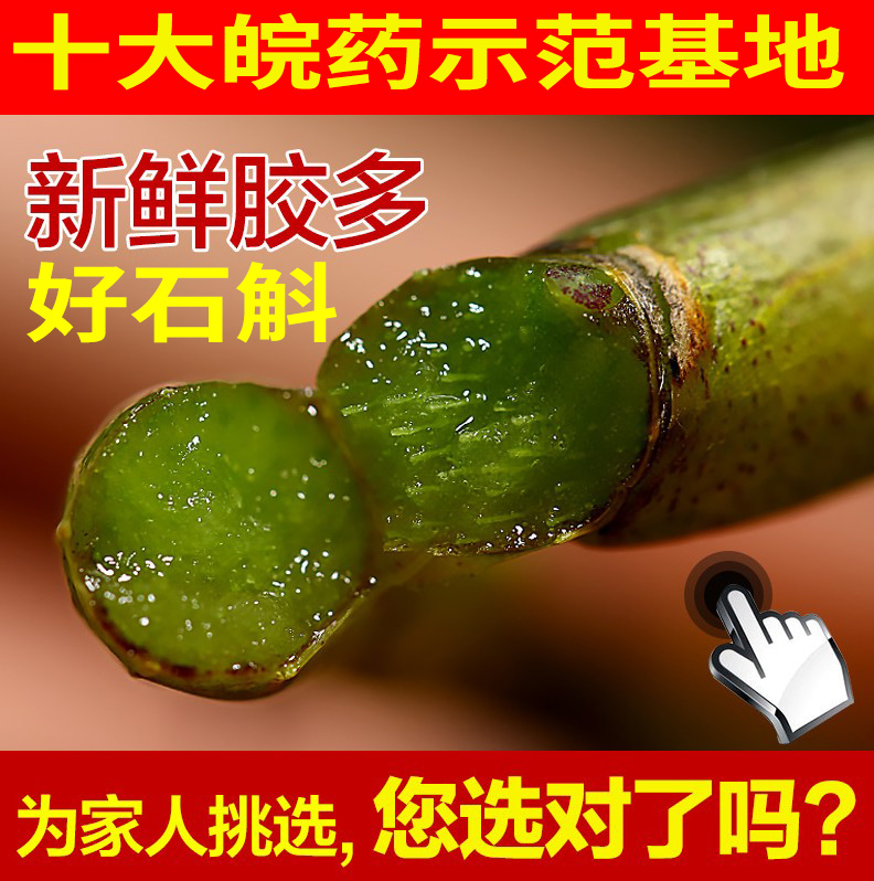 一品堂 正宗霍山新鲜铁皮石斛鲜条原生种野外种植官方正品旗舰店