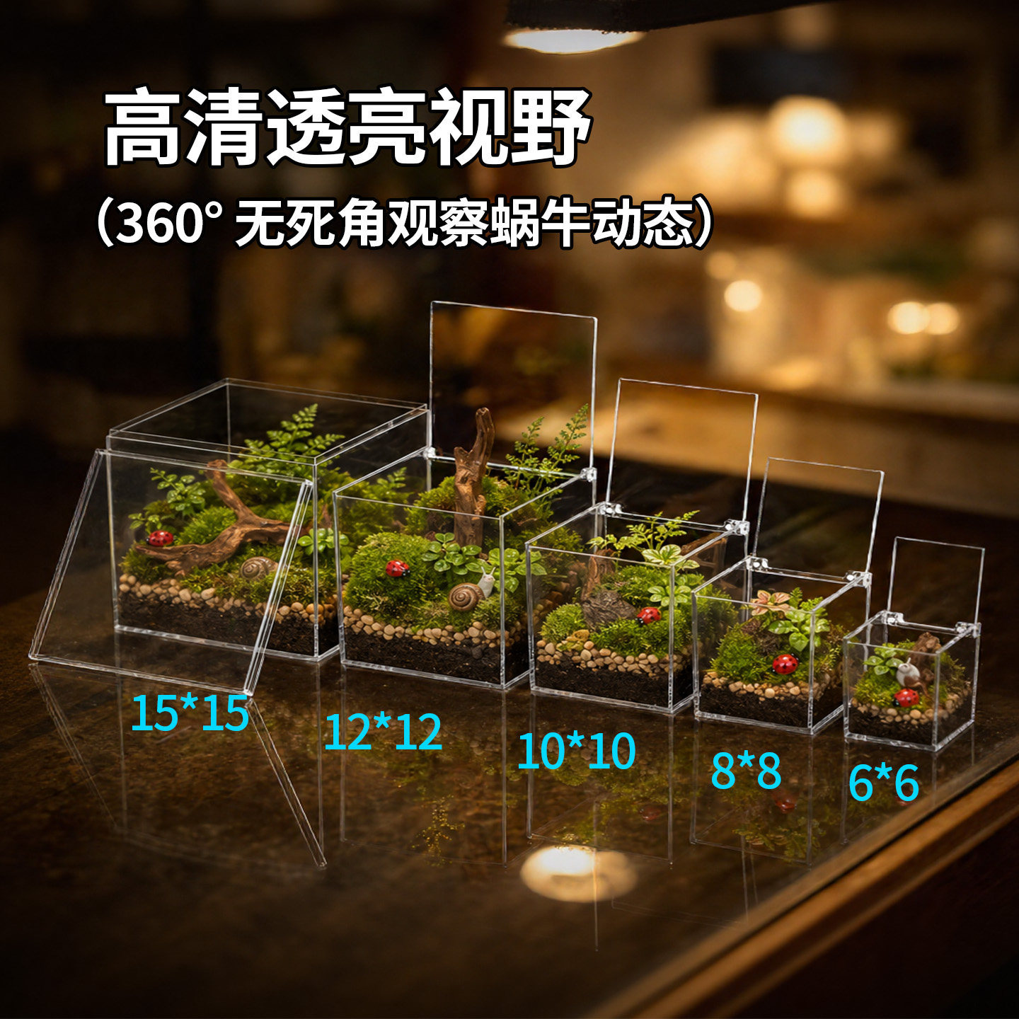 蜗牛饲养盒蜗牛生态缸白玉蜗牛饲养盒蜗牛专用饲养盒寄居蟹生态缸