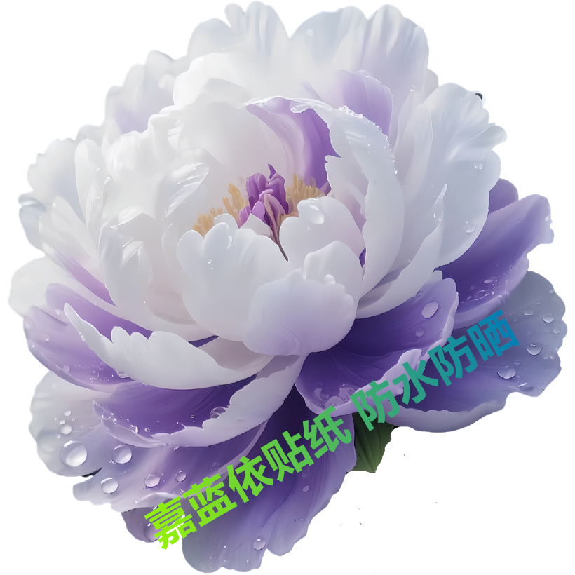 大朵仿真牡丹花贴纸浴室卫生间室内墙面装饰遮瑕美痕贴画花开富贵图片