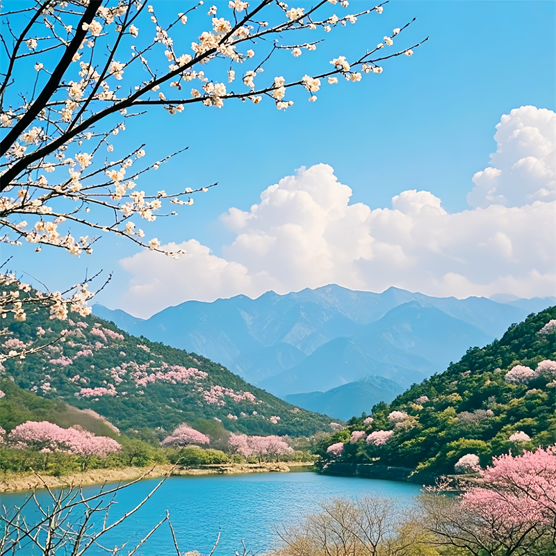 桃花潭水贴画客厅卧室出租房室内墙面自然风光装饰海报防水自粘贴