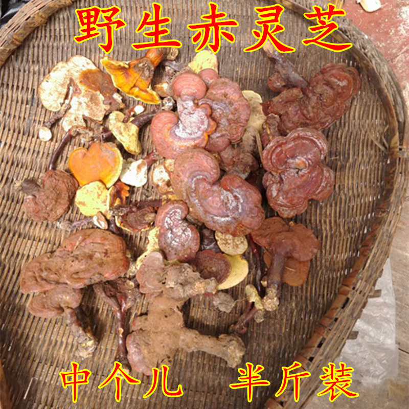 神农架赤灵芝野生整枝林芝干货可切片非长白山西藏孢子粉250g半斤