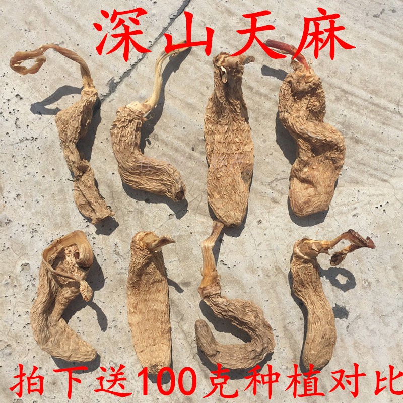 神农架特产深山野生天麻干货天然无硫胜长白山云南邵通片特级250g在类目 传统滋补营养品, 其他传统滋补品, 天麻中 - 来自Buy2taobao.com提供专业的淘宝代购服务