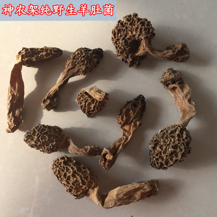神农架羊肚菌纯野生新鲜干货天然野生菌菇煲汤食材50g非种植500g