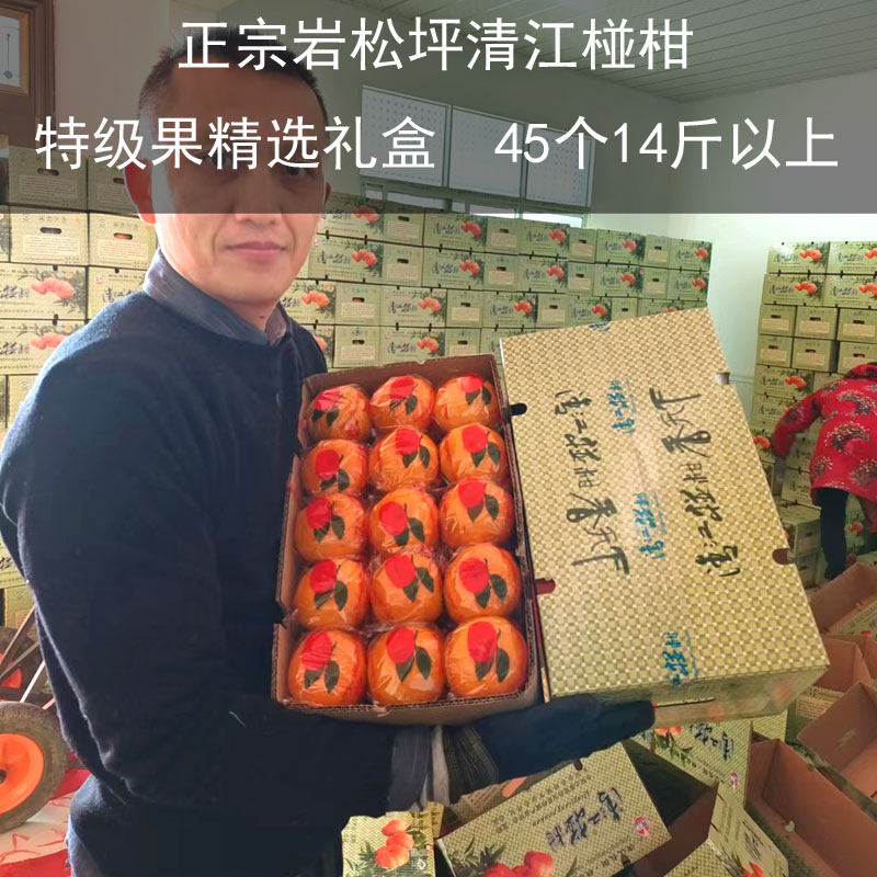 湖北宜昌清江椪柑特级礼盒装长阳岩松坪碰柑现摘桔子特甜45个芦柑,水产肉类/新鲜蔬果/熟食,桔子,淘宝优惠券,粉丝福利购,淘宝优惠卷
