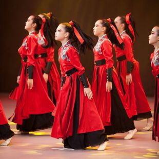 雪龙吟儿童男女舞蹈演出服古典舞中国风国潮表演精忠报国亲子舞蹈