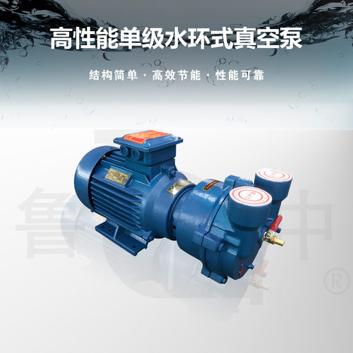 2BV-2060系列油（液）环式真空泵 质保一年400售后保障 鲁中牌