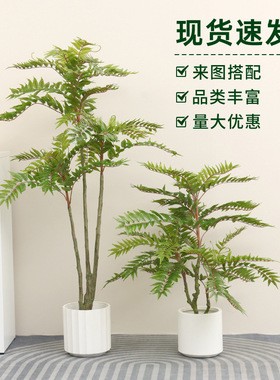 仿真香椿树造景轻奢假花树大型装饰室内客厅摆件仿生植物落地盆栽