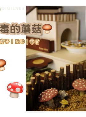 QIQIANWU七千五仓鼠零食磨牙蘑菇互动金丝熊零食玩具好吃营养健康