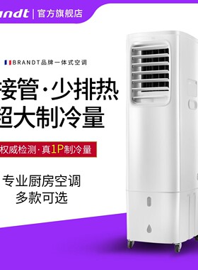 法国Brandt官方白朗移动厨房空调家用节能空调扇冷风扇冷风机空调