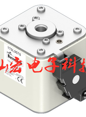 高低压熔断器170M3513 170M7081 170M5975 拍联系库存