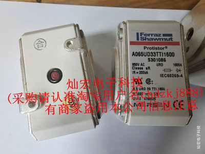 罗兰Ferraz快速熔断器M300069,690V/630A 熔断器