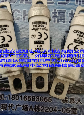 友容熔断器保险管CFriend FE63 63A 690V IR100KA TN602260保险丝
