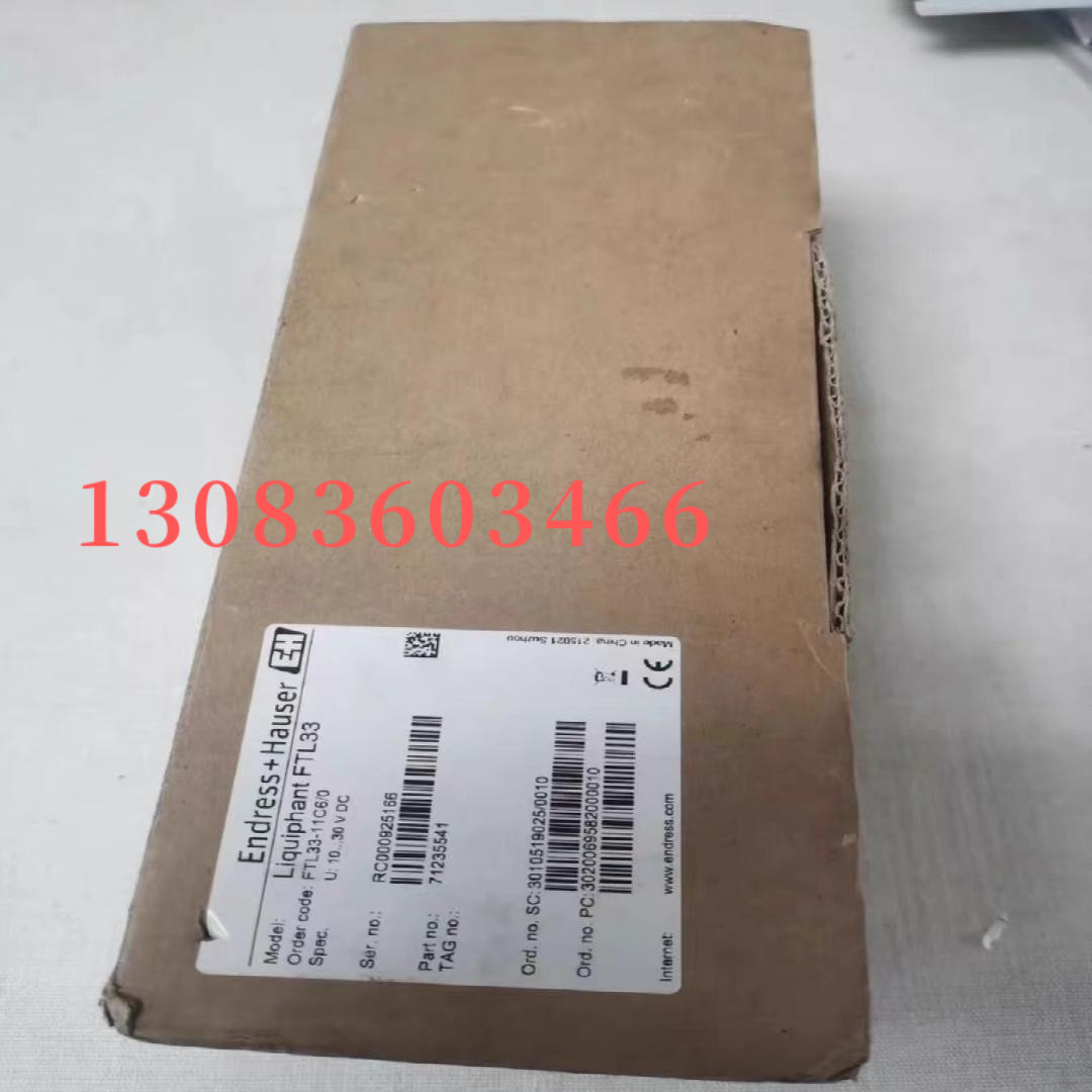 E+H音叉开关 FTL33-11C6/0  FTL33-AA4U3AB3CJ