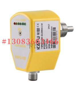 卡图FS100-G12MDCCM电子式流量开关