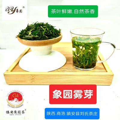 陕西商洛2025最北端茶园镇安特产象园雾芽100g