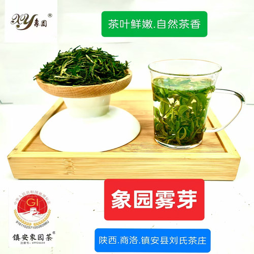 陕西商洛2025最北端茶园镇安特产象园雾芽100g