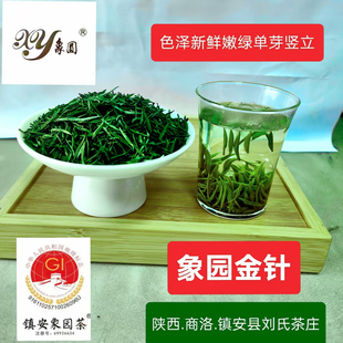陕西商洛2025高级单芽高山绿茶镇安特产象园金针茶100g