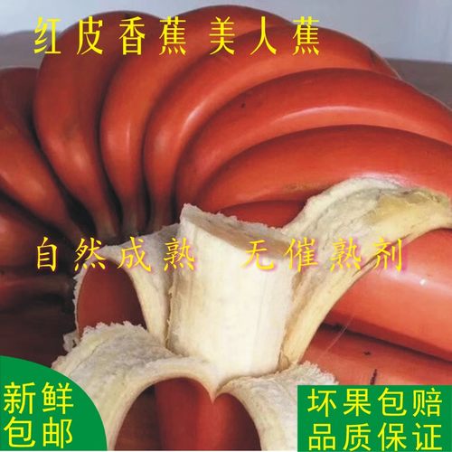新鲜红皮香蕉美人蕉香蕉