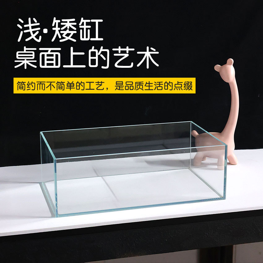 鱼缸窄长条型超白鱼缸矮低浅窄款缸桌面乌龟缸苔藓缸六角恐龙缸水