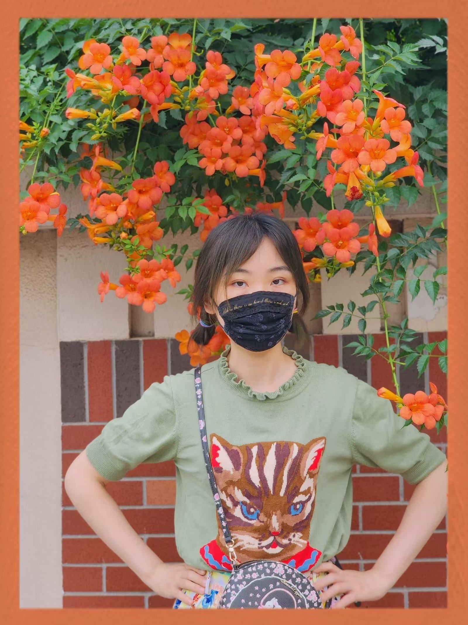 2025年春夏新款女士圆领套头针织抹茶绿3D猫咪头像短袖上衣棉T恤