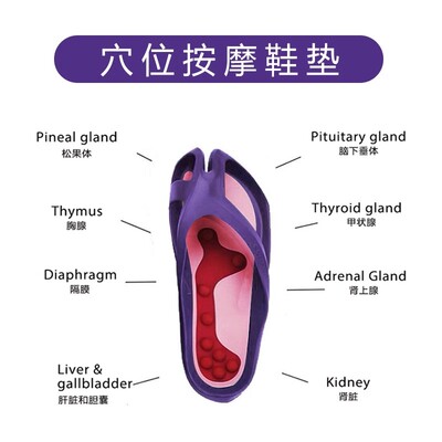 德国红点奖ccilu驰绿人字拖