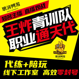 王者荣耀代打代练小国标巅峯赛省标金标排位战力陪玩带上分车队
