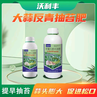 大蒜返青抽苔肥大蒜苔粗专用增产早熟生长专用中量元素水溶肥